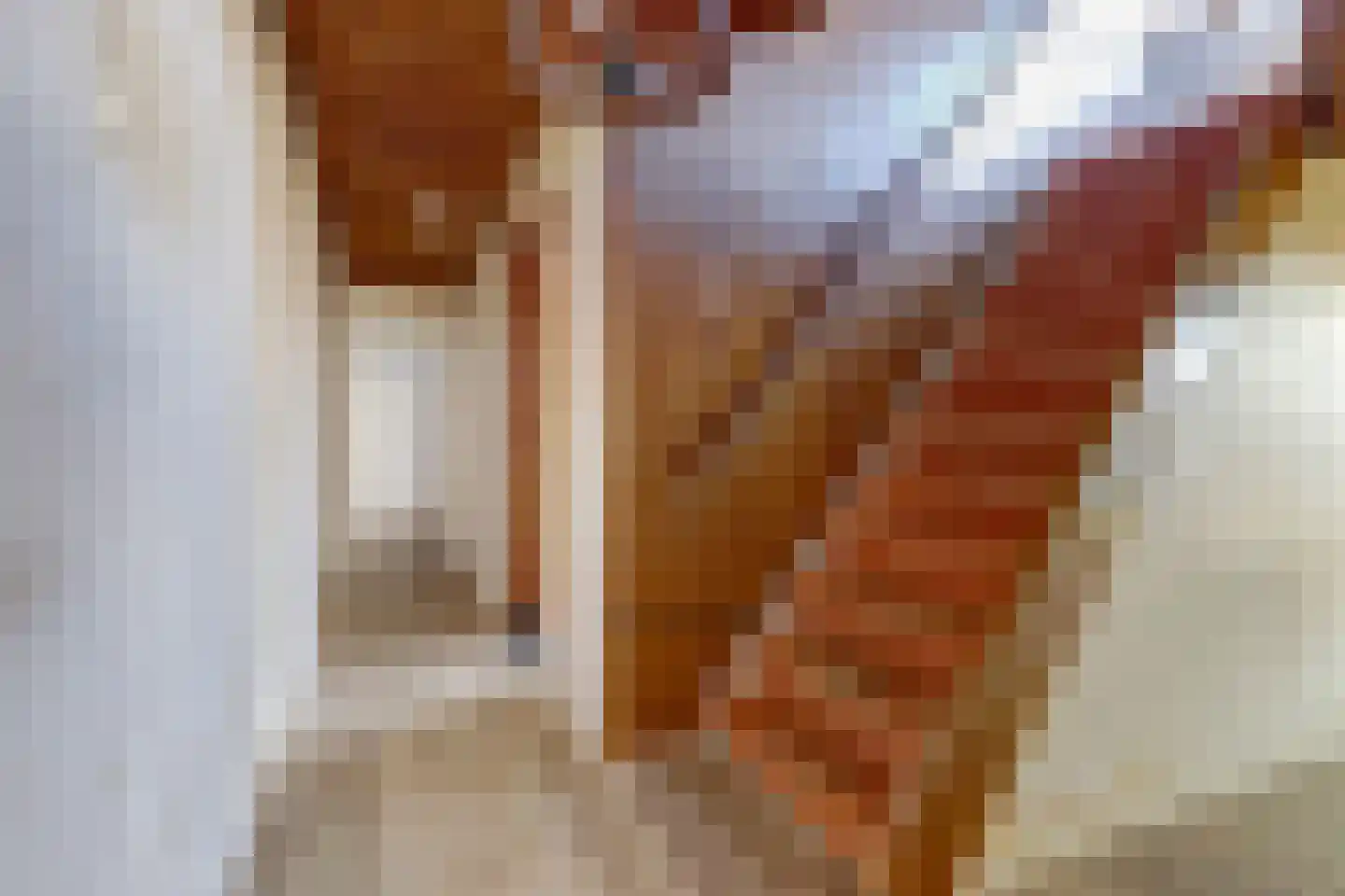 Nijmeegsestraat 5 Gendt thumbnail 5