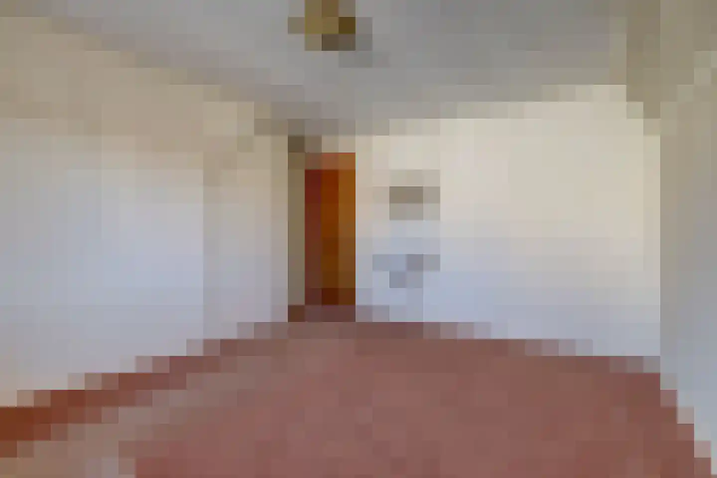 Nijmeegsestraat 5 Gendt thumbnail 50