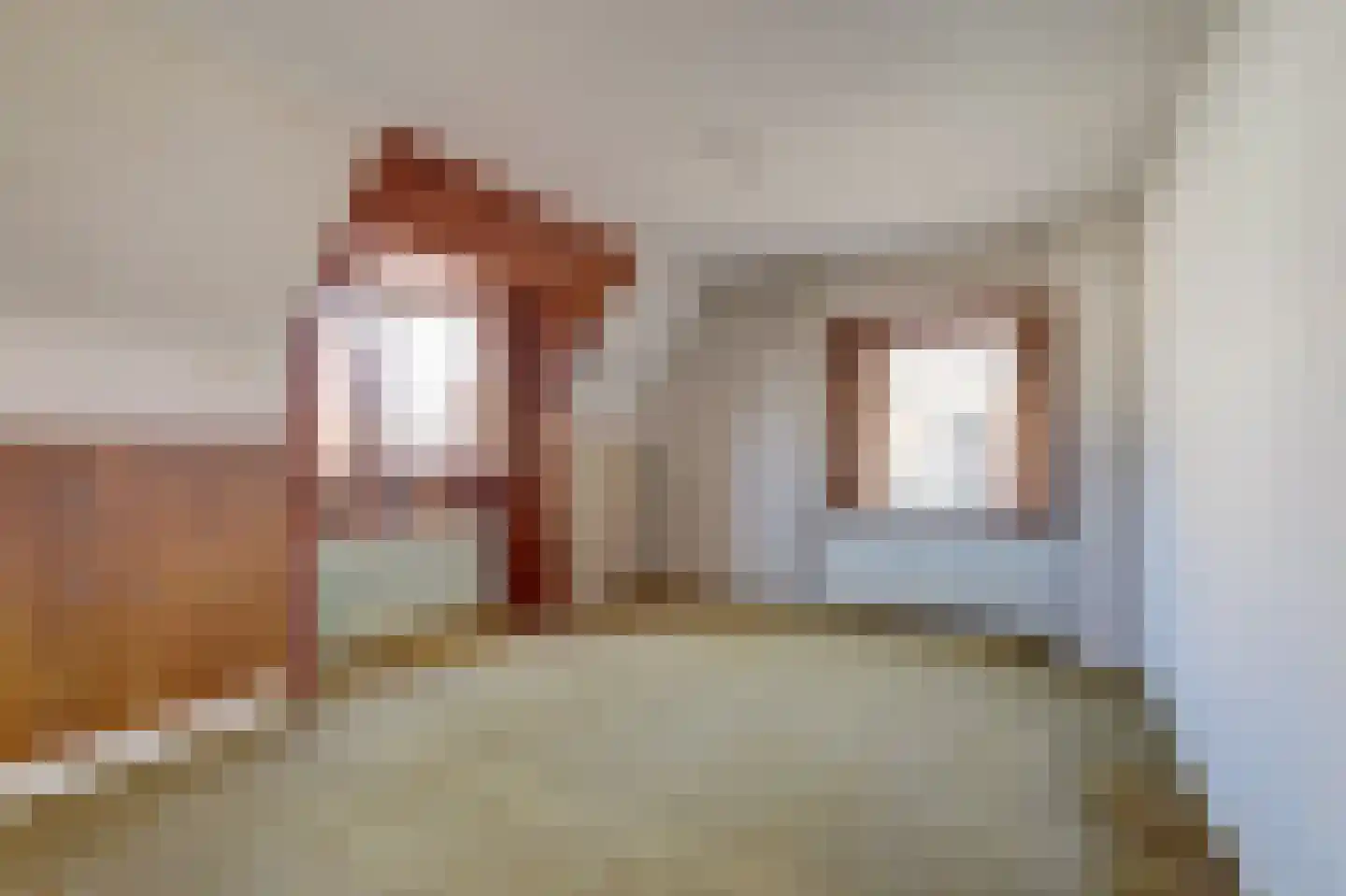 Nijmeegsestraat 5 Gendt thumbnail 51