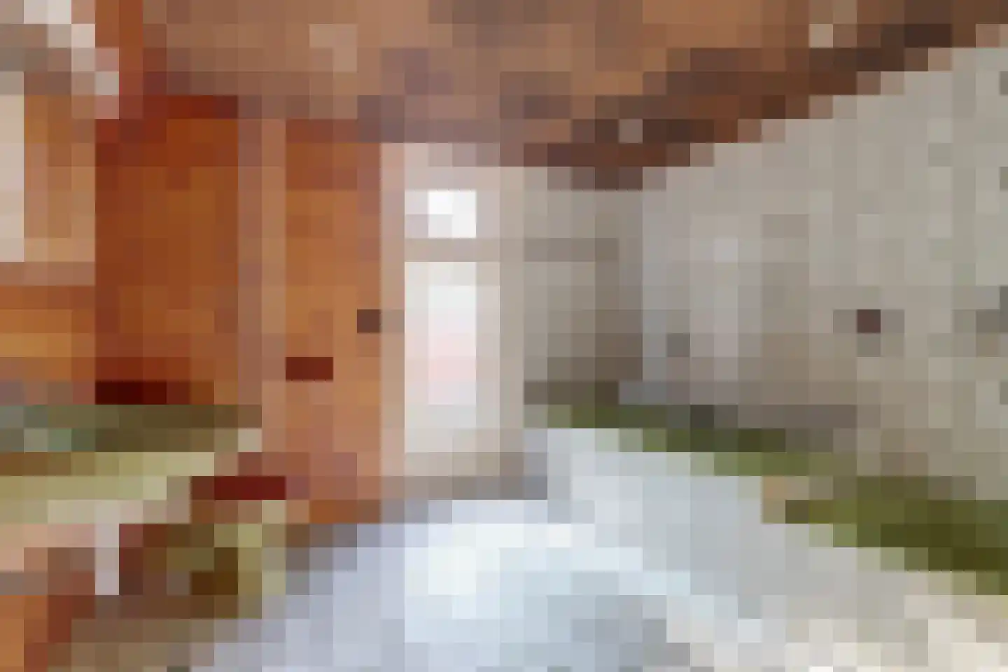 Nijmeegsestraat 5 Gendt thumbnail 53