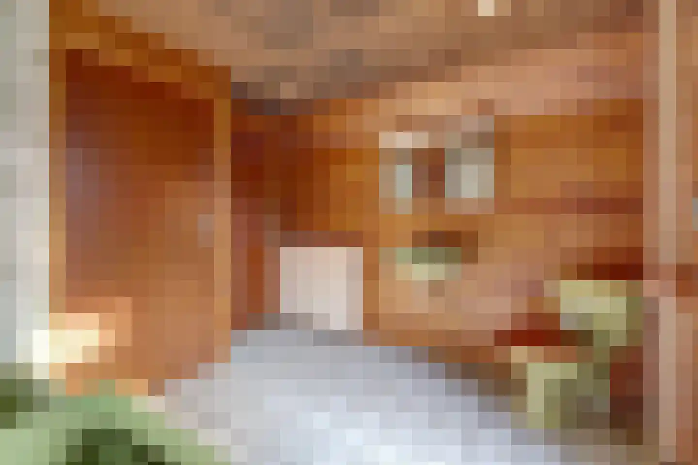 Nijmeegsestraat 5 Gendt thumbnail 54