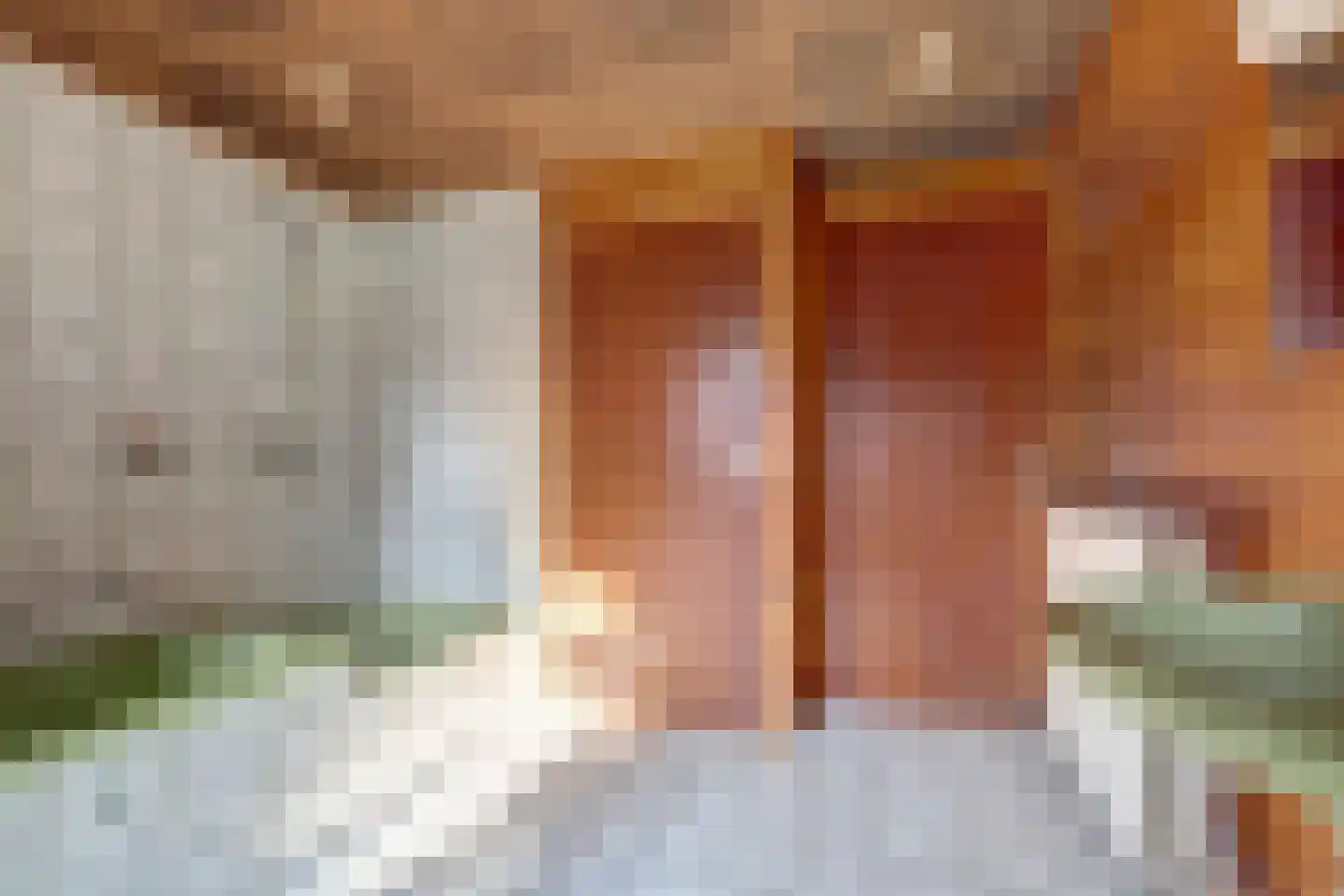 Nijmeegsestraat 5 Gendt thumbnail 55