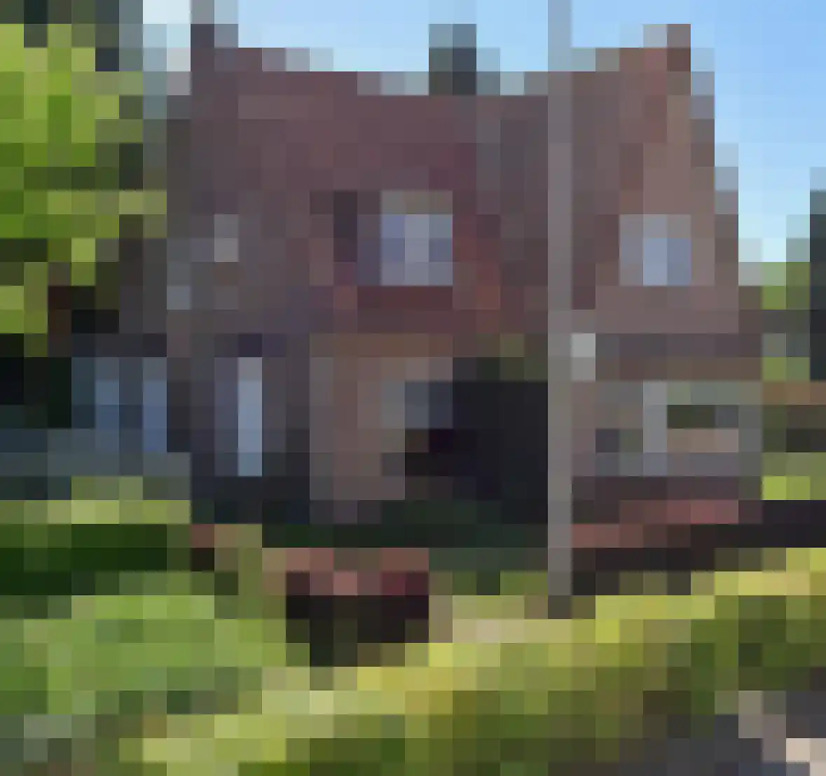 Nijmeegsestraat 5 Gendt thumbnail 64