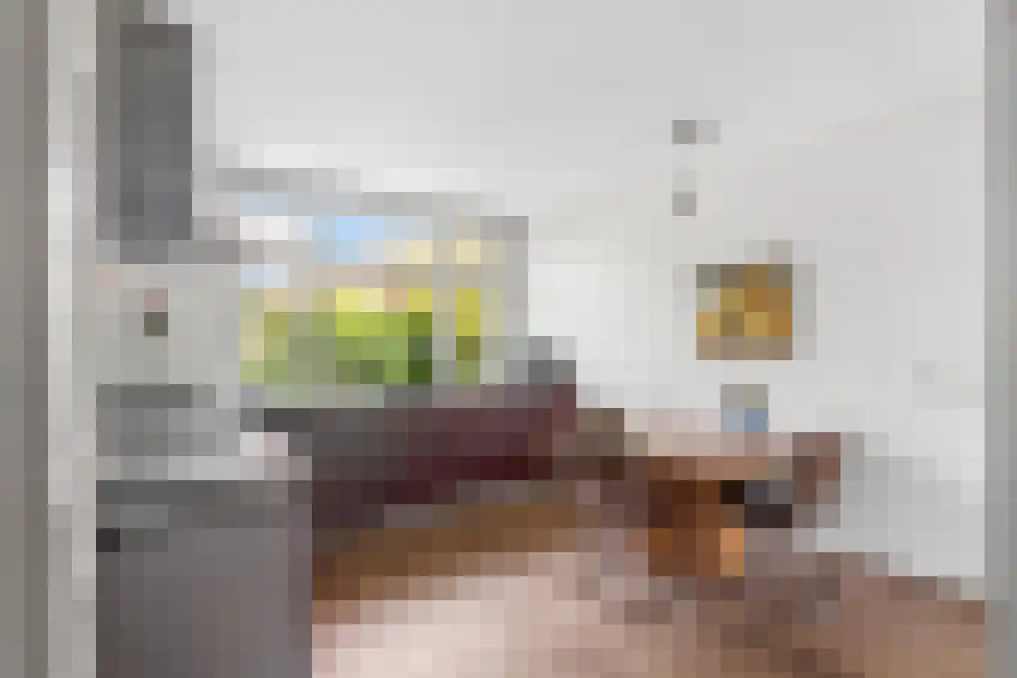 Nijmeegsestraat 77 Gendt thumbnail 10