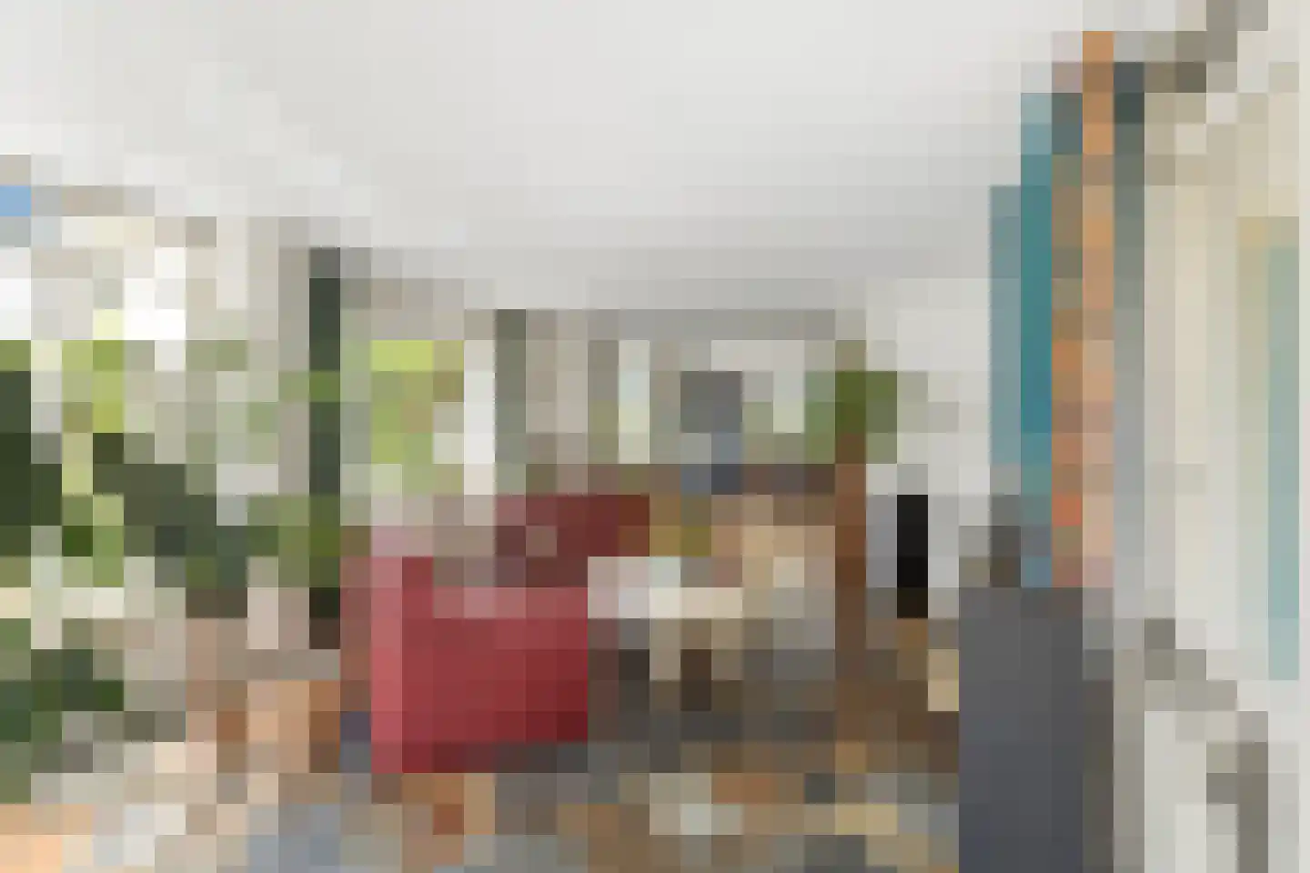 Nijmeegsestraat 77 Gendt thumbnail 13