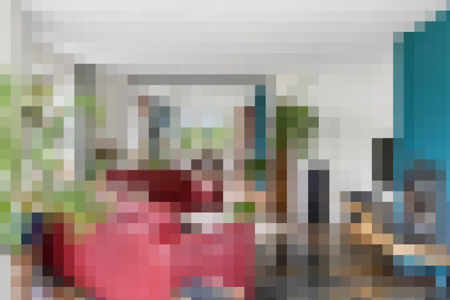 Nijmeegsestraat 77 Gendt thumbnail 14