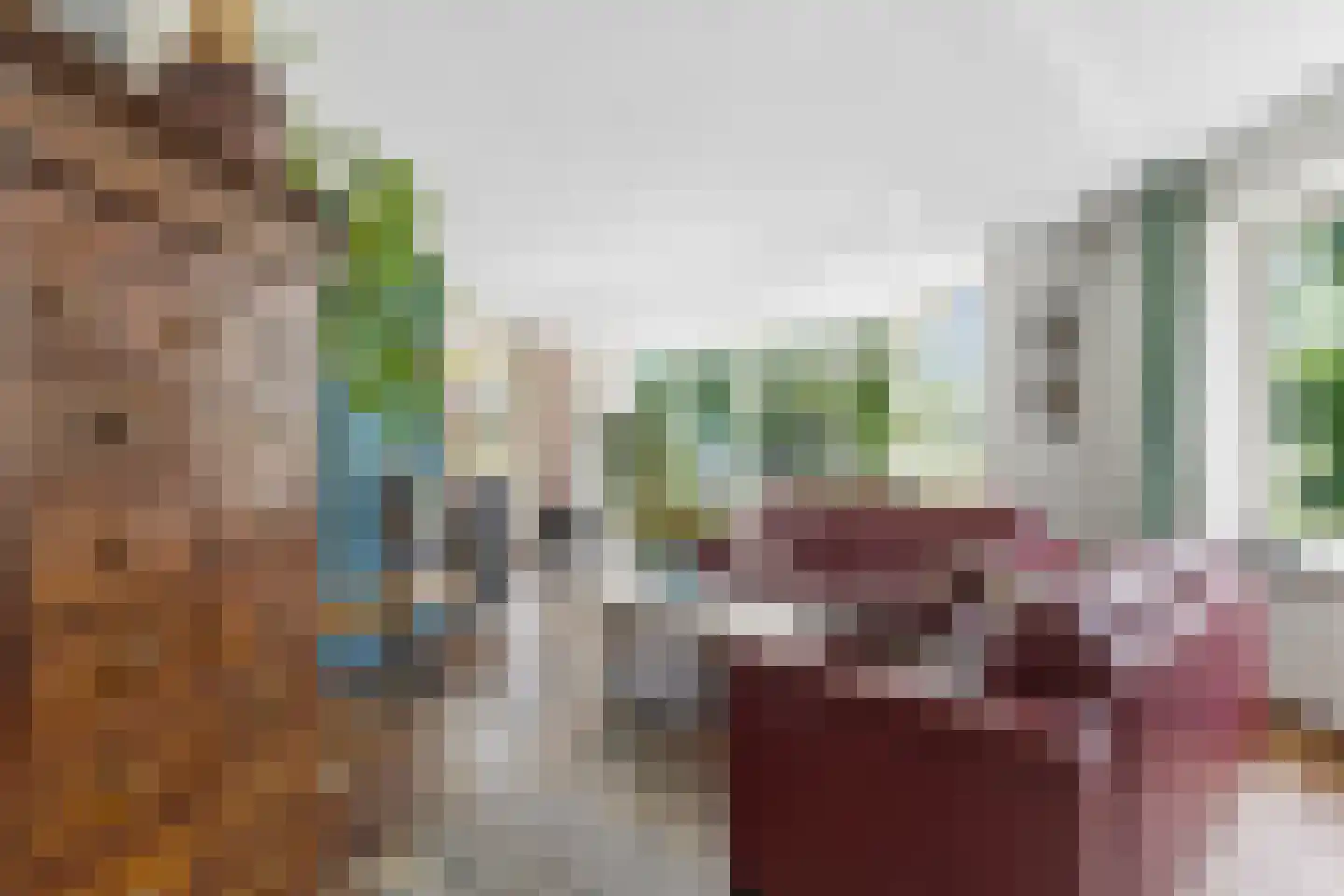 Nijmeegsestraat 77 Gendt thumbnail 16