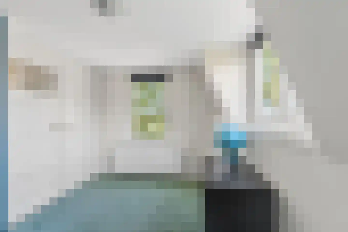 Nijmeegsestraat 77 Gendt thumbnail 34