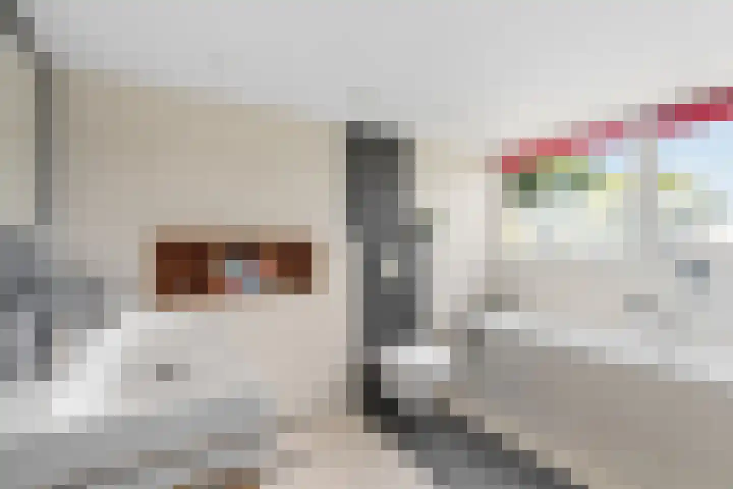 Nijmeegsestraat 77 Gendt thumbnail 38