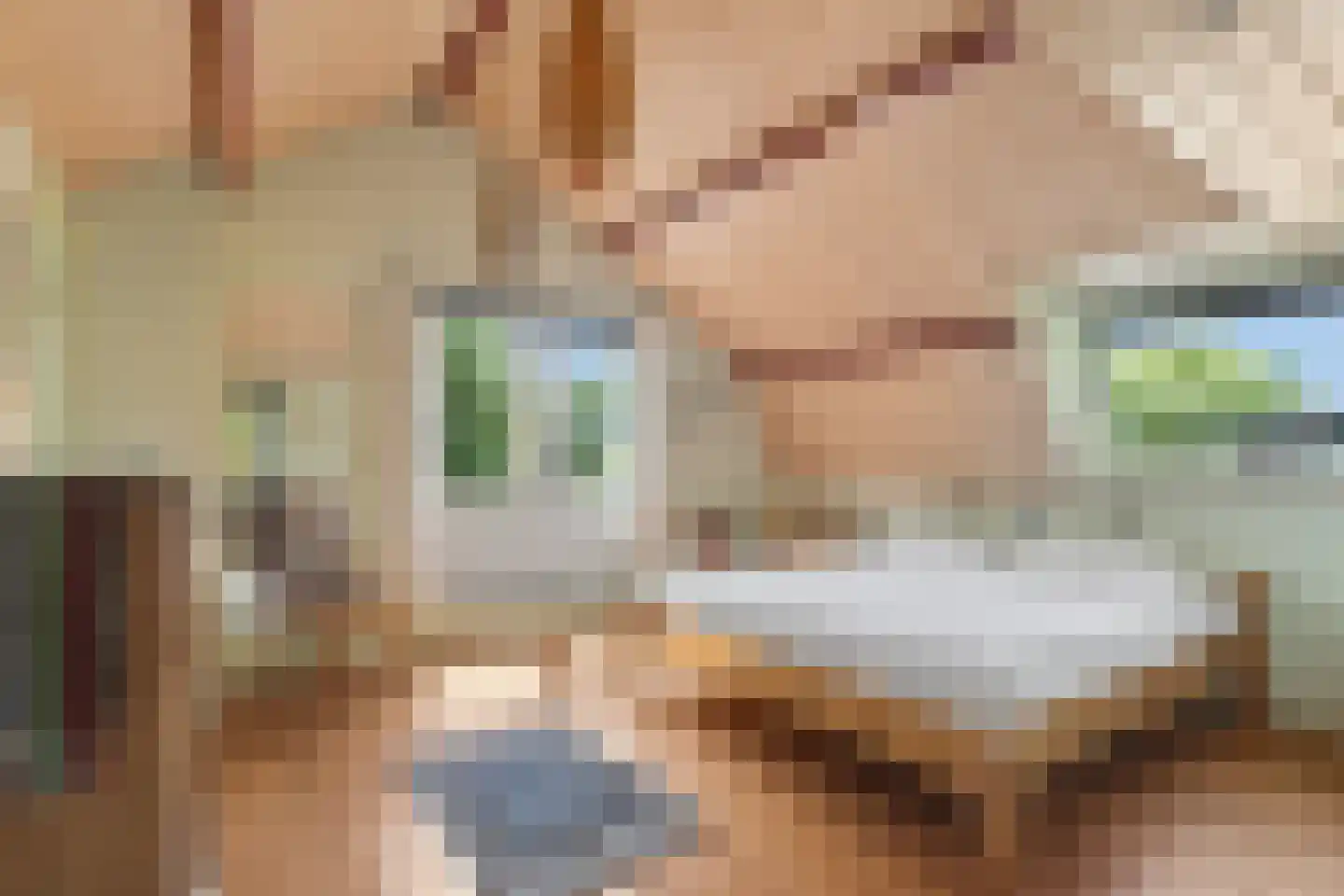 Nijmeegsestraat 77 Gendt thumbnail 41