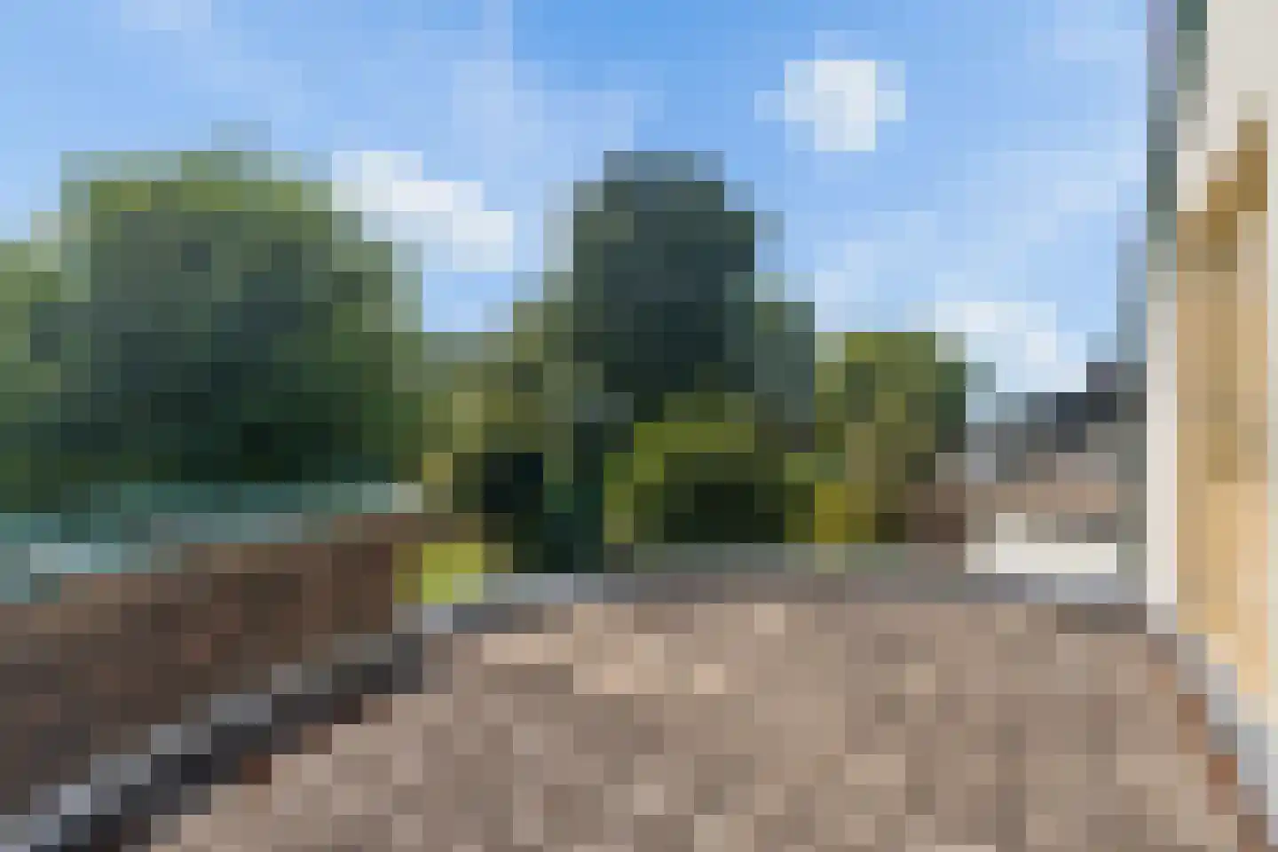 Nijmeegsestraat 77 Gendt thumbnail 44