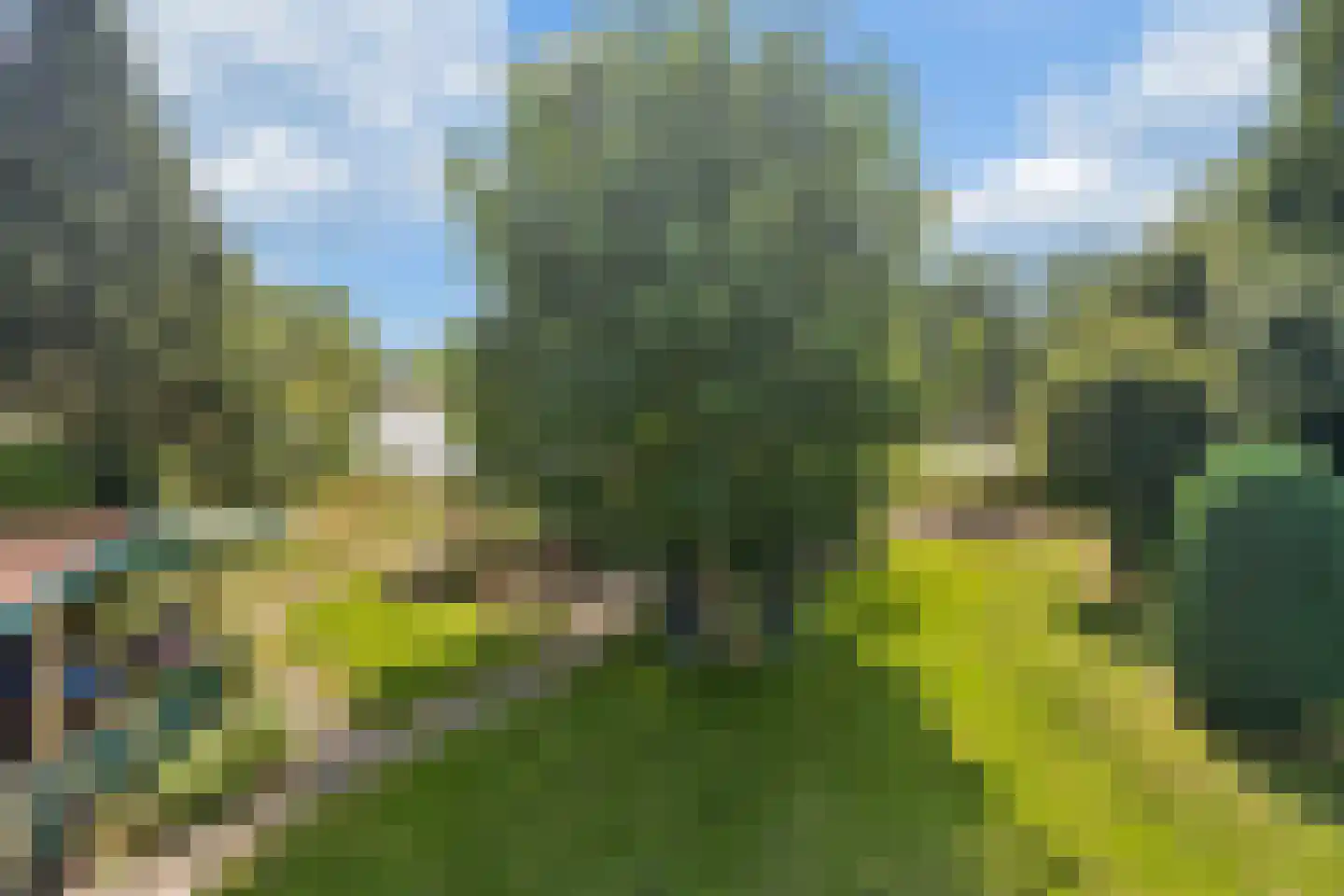 Nijmeegsestraat 77 Gendt thumbnail 46