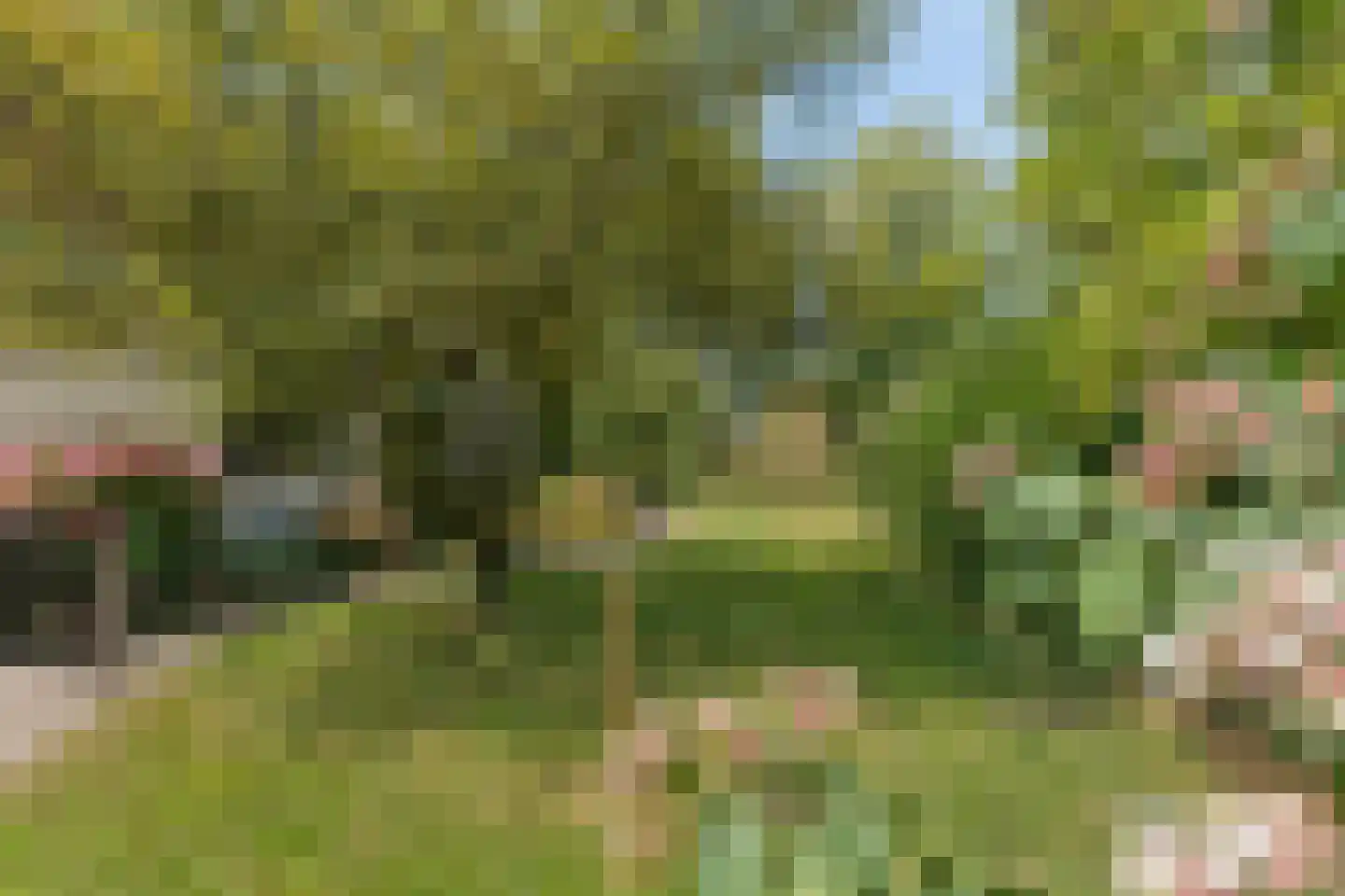 Nijmeegsestraat 77 Gendt thumbnail 48