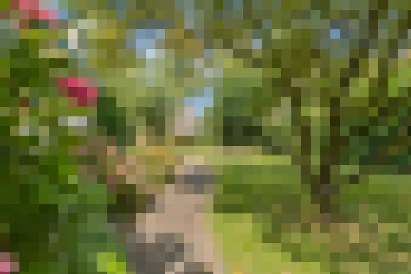 Nijmeegsestraat 77 Gendt thumbnail 49