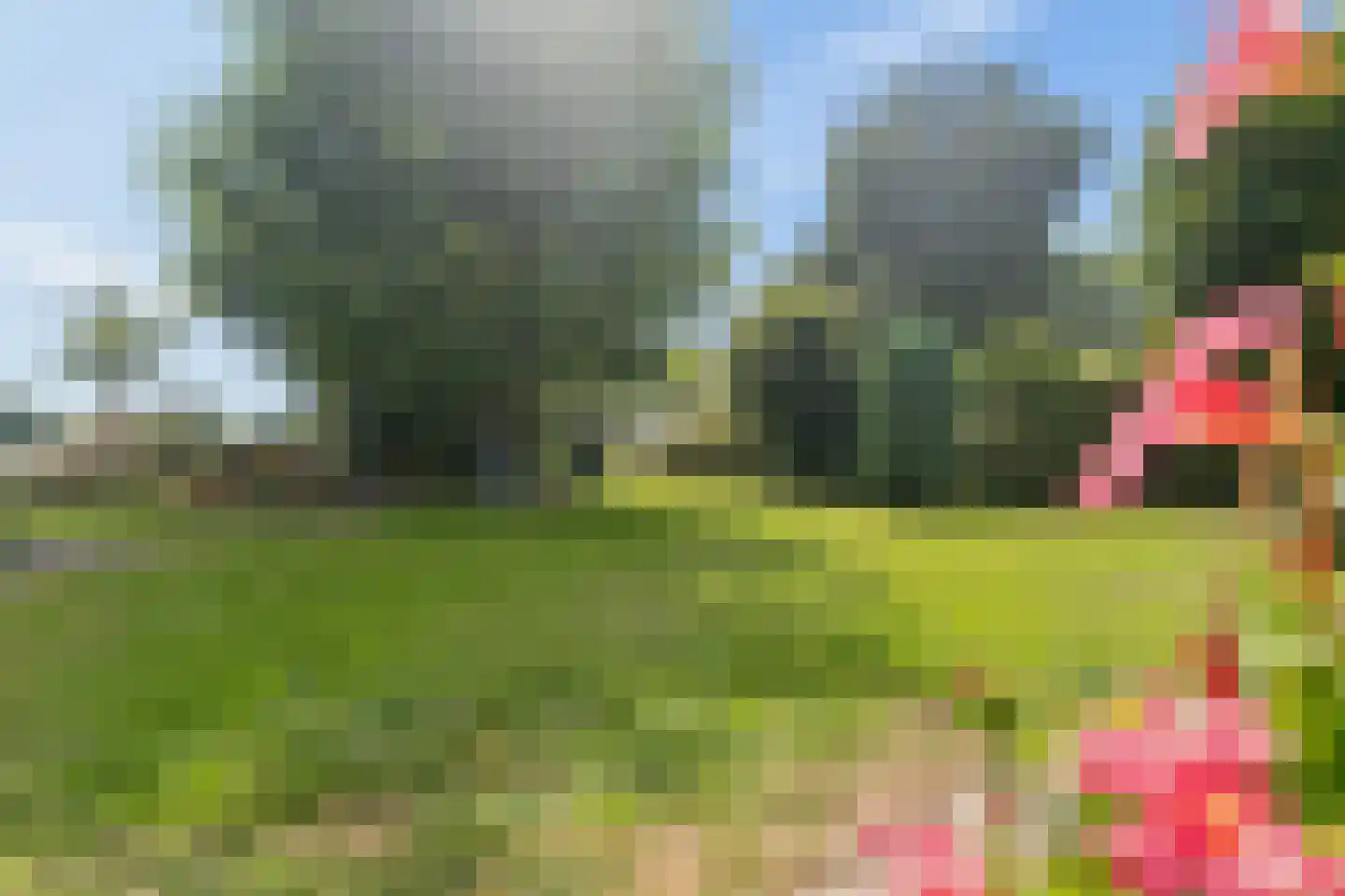 Nijmeegsestraat 77 Gendt thumbnail 50