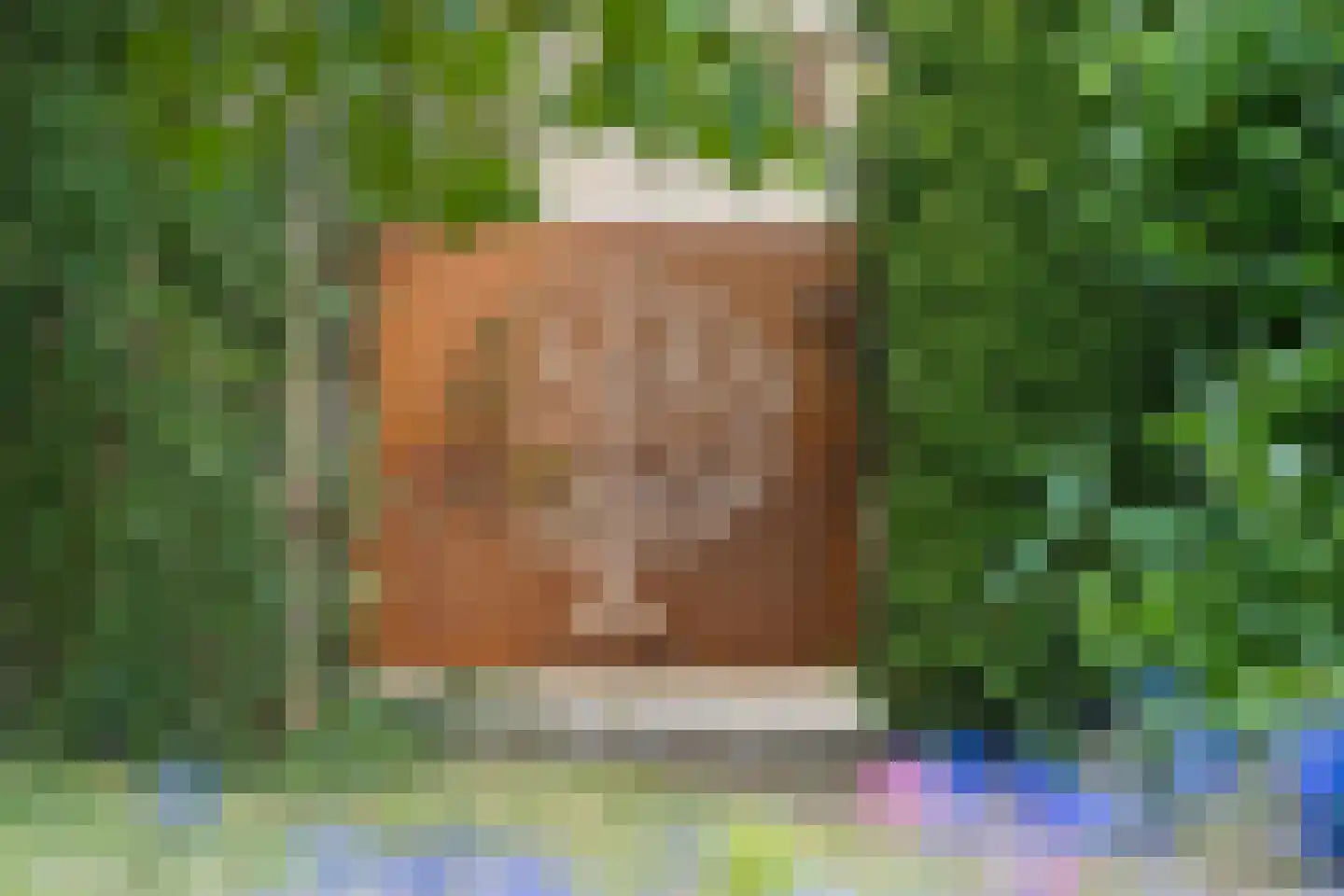 Nijmeegsestraat 77 Gendt thumbnail 51