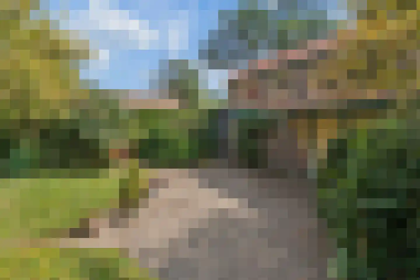 Nijmeegsestraat 77 Gendt thumbnail 52