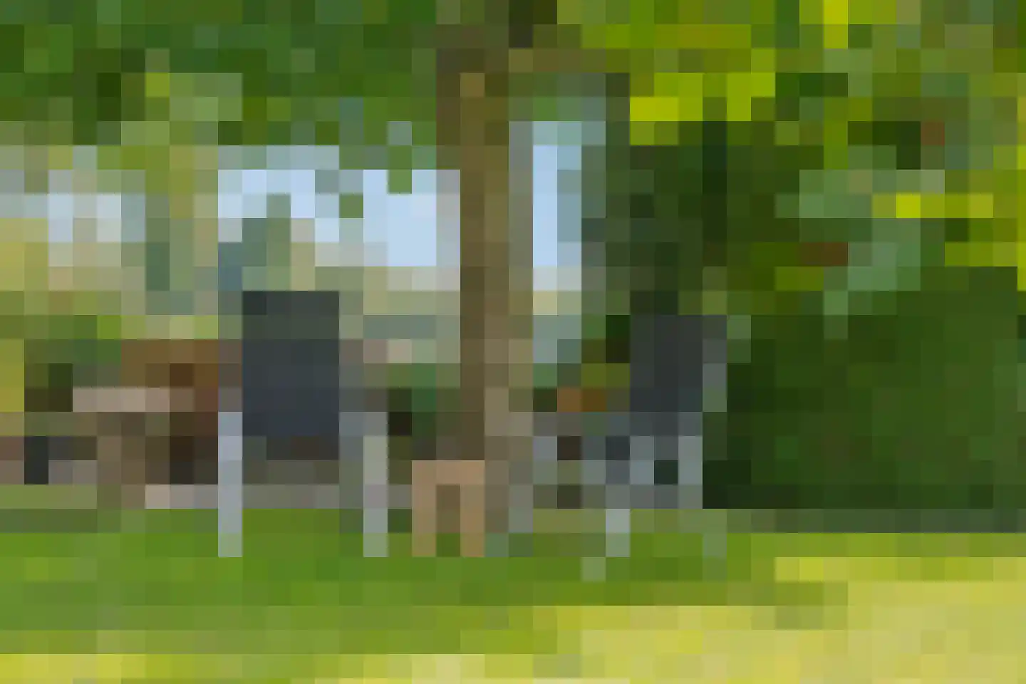 Nijmeegsestraat 77 Gendt thumbnail 67