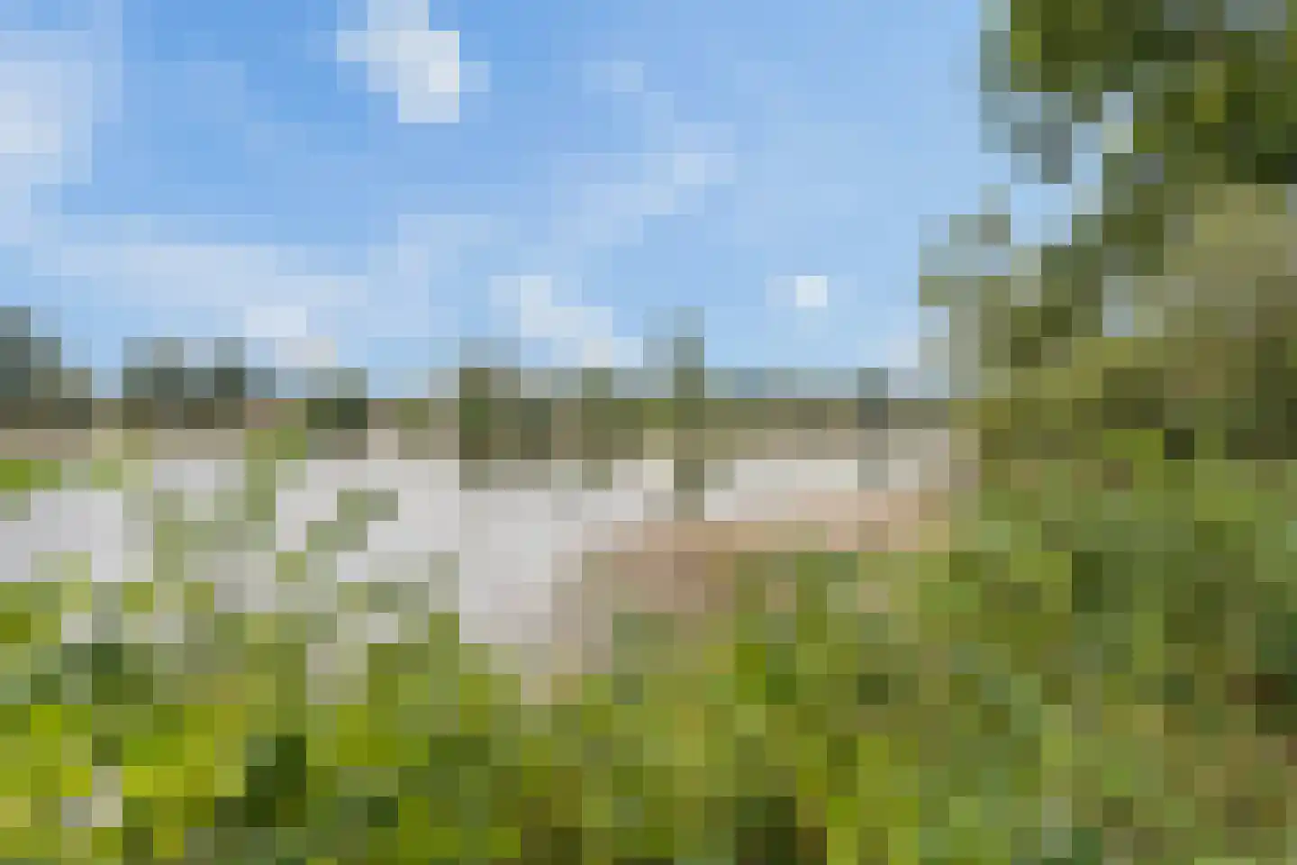 Nijmeegsestraat 77 Gendt thumbnail 75