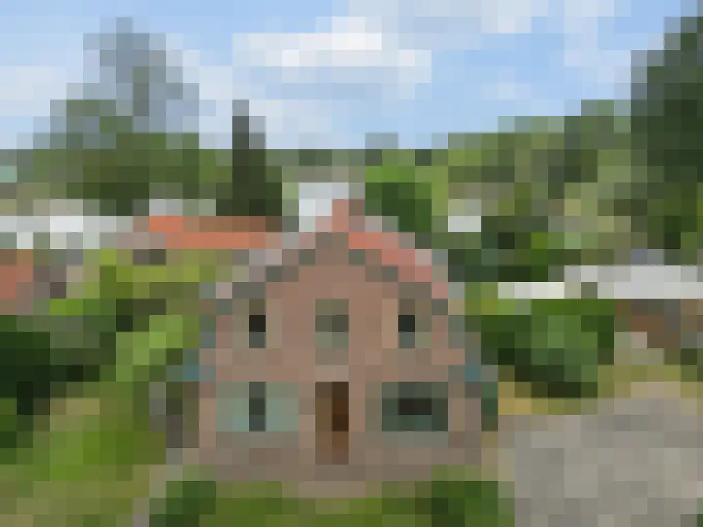 Nijmeegsestraat 77 Gendt thumbnail 76