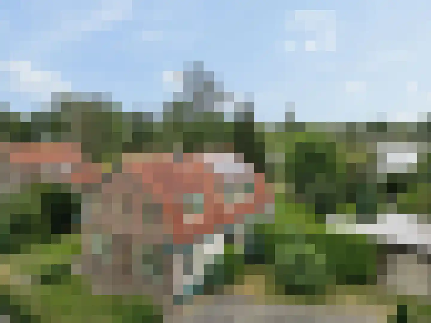 Nijmeegsestraat 77 Gendt thumbnail 78