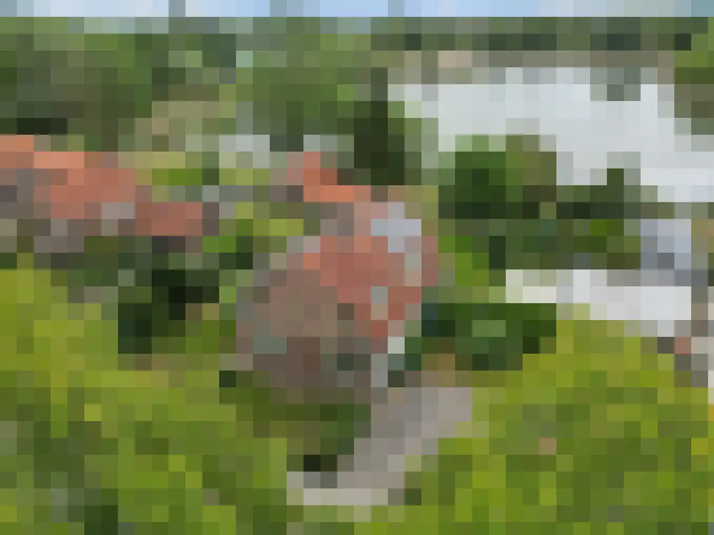 Nijmeegsestraat 77 Gendt thumbnail 79