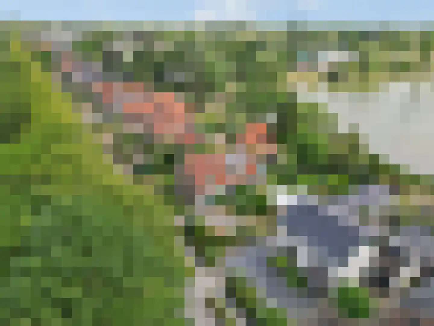Nijmeegsestraat 77 Gendt thumbnail 80