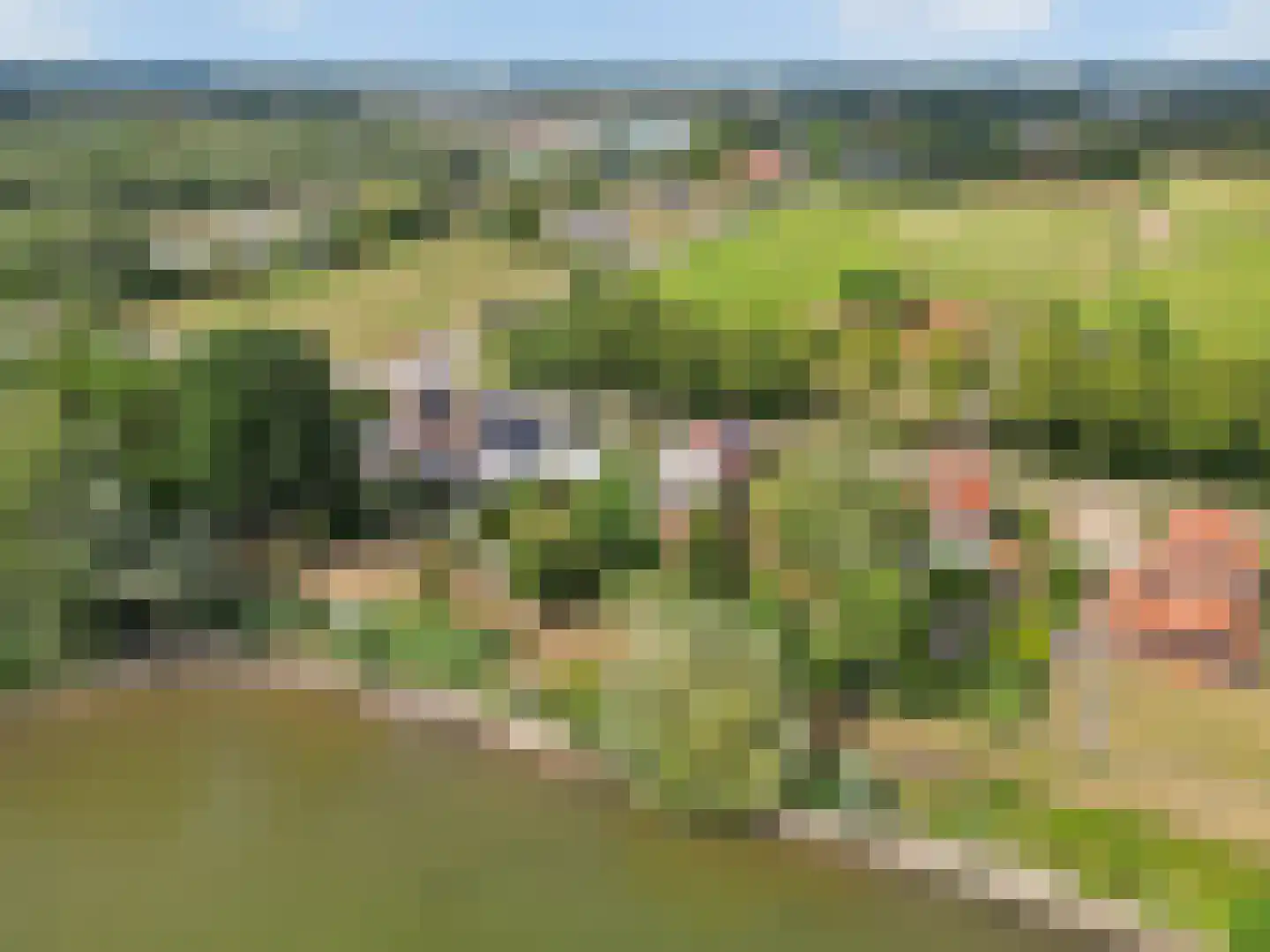 Nijmeegsestraat 77 Gendt thumbnail 81