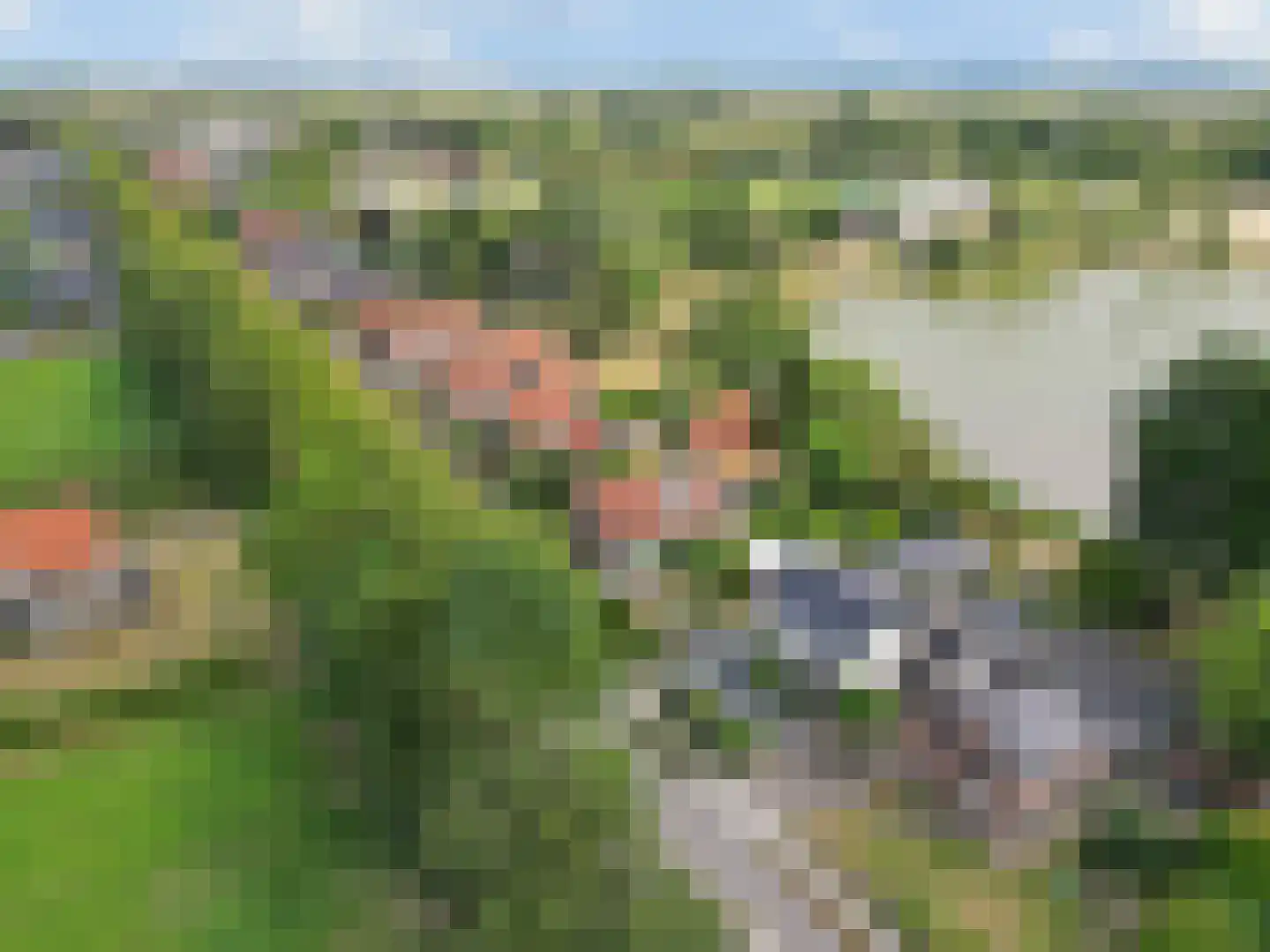 Nijmeegsestraat 77 Gendt thumbnail 82