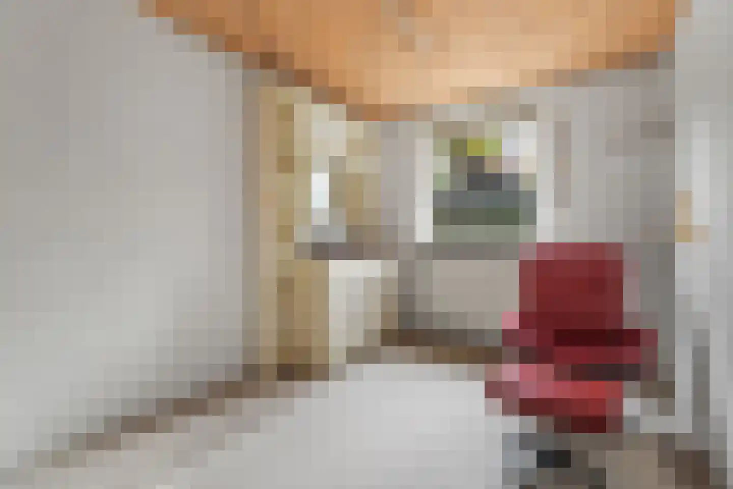Nijmeegseweg 13 Gennep thumbnail 11