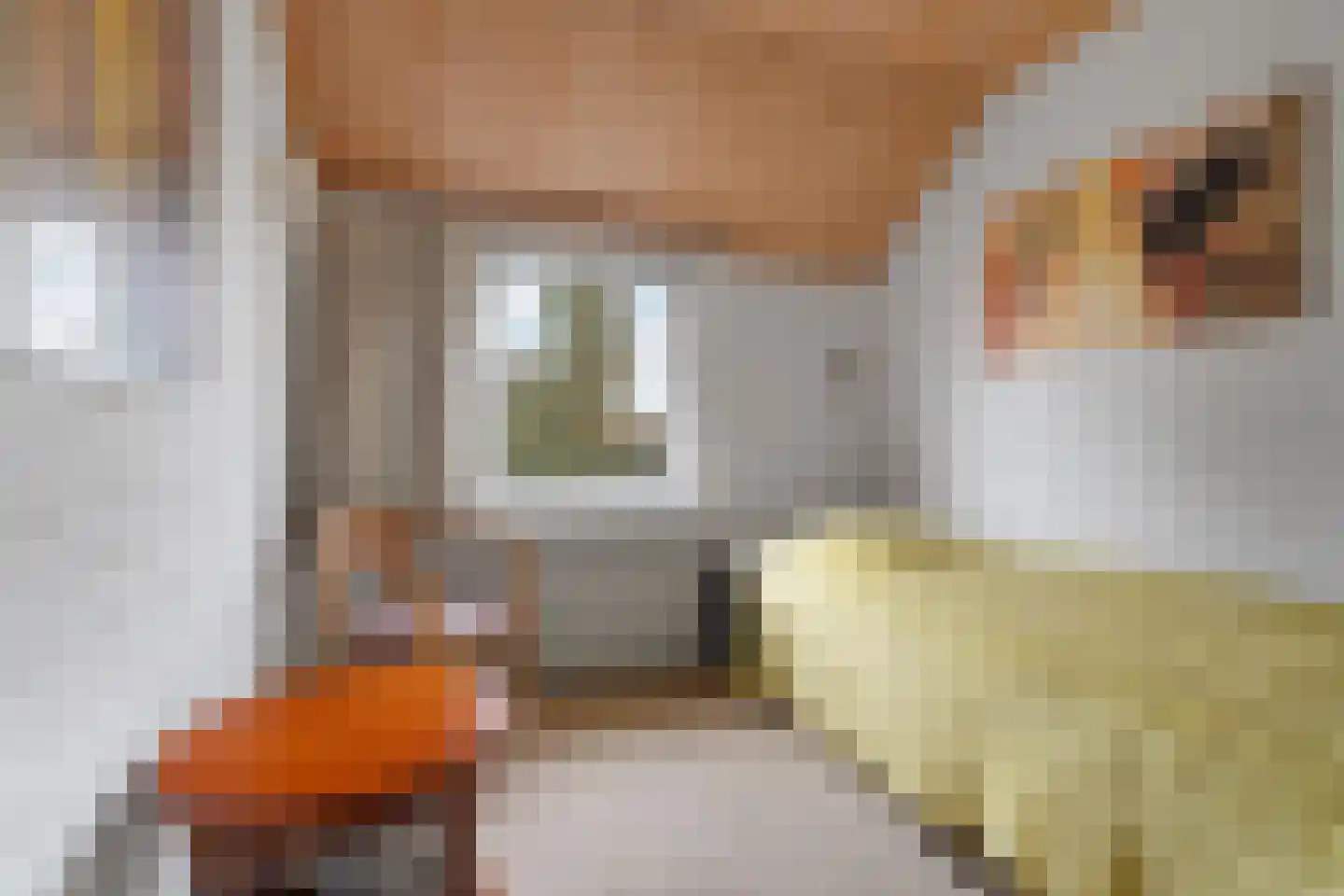 Nijmeegseweg 13 Gennep thumbnail 17