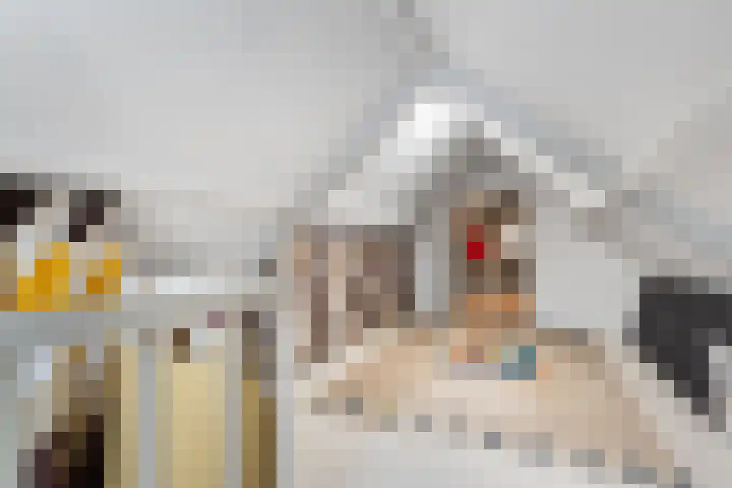 Nijmeegseweg 13 Gennep thumbnail 21