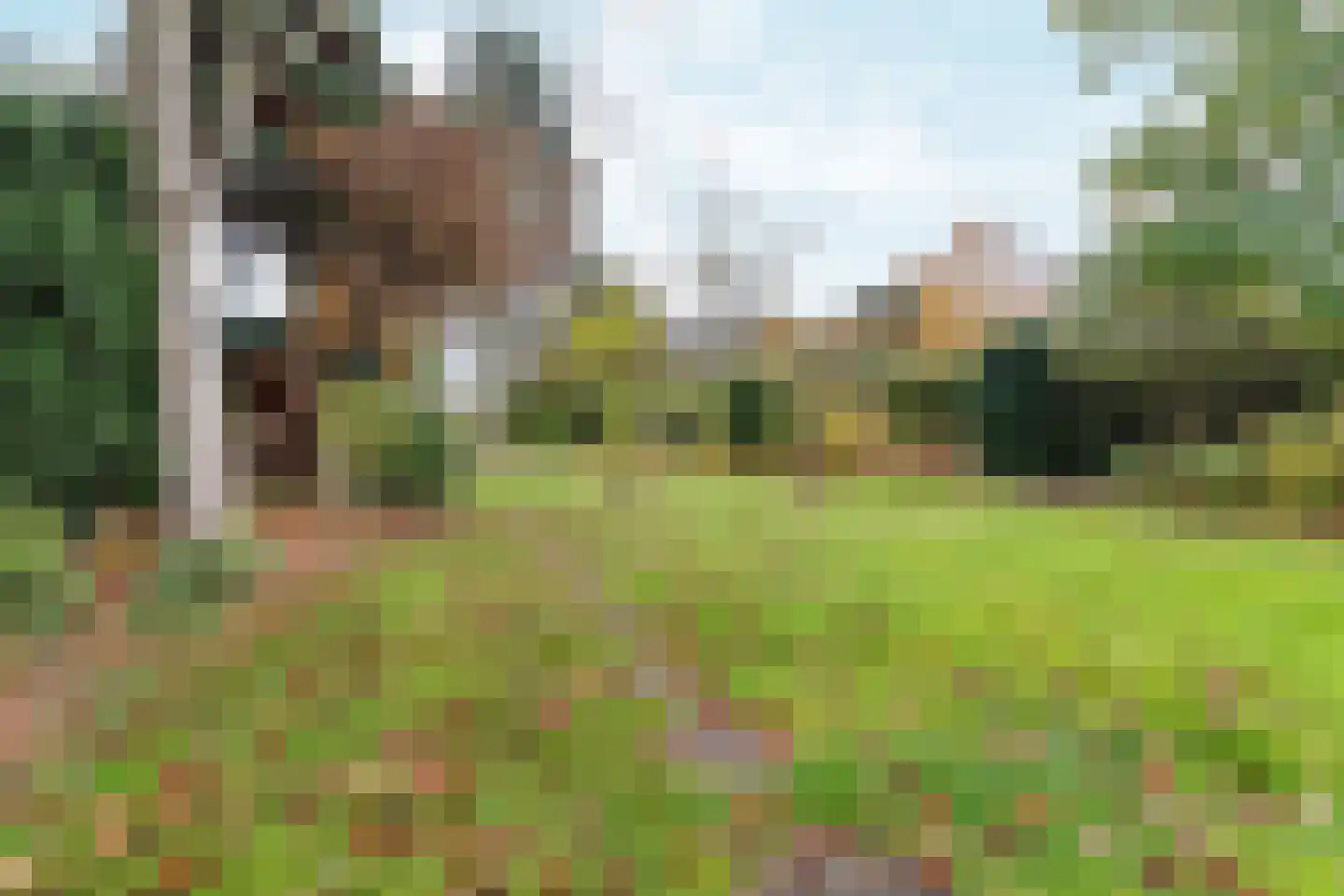 Nijmeegseweg 13 Gennep thumbnail 29