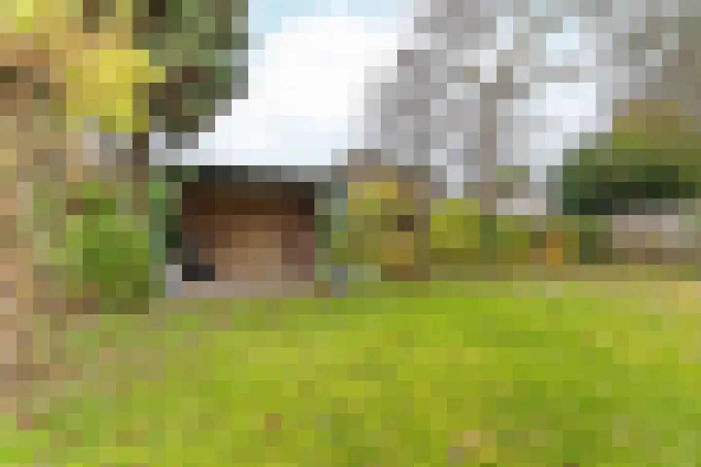 Nijmeegseweg 13 Gennep thumbnail 30