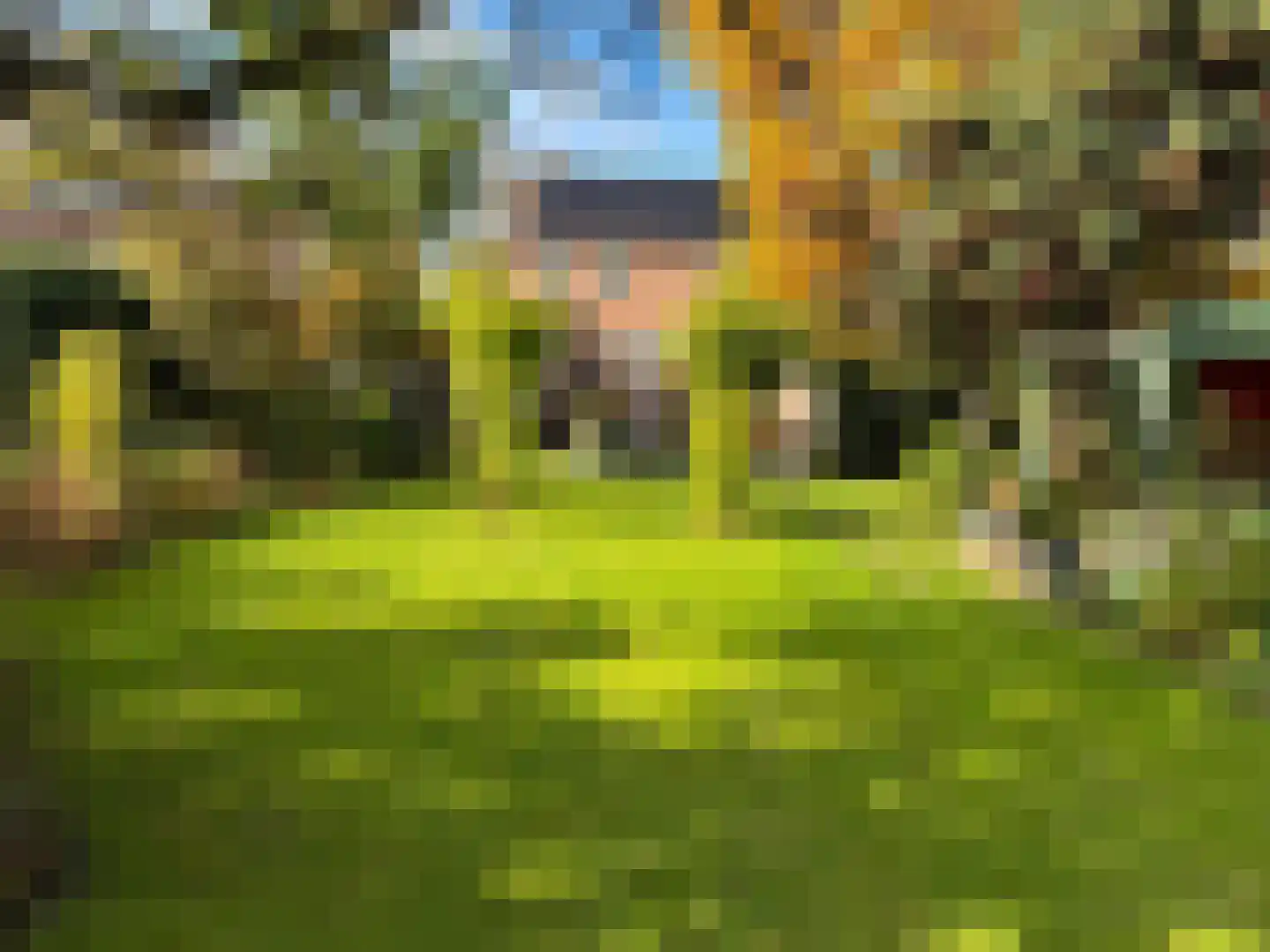 Nijmeegseweg 13 Gennep thumbnail 5