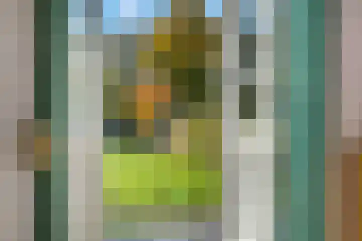 Nijmeegseweg 71 Gennep thumbnail 32