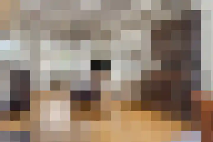 Nijmeegseweg 71 Gennep thumbnail 4