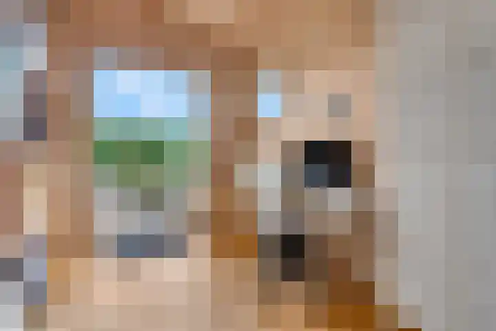 Nijmeegseweg 71 Gennep thumbnail 43