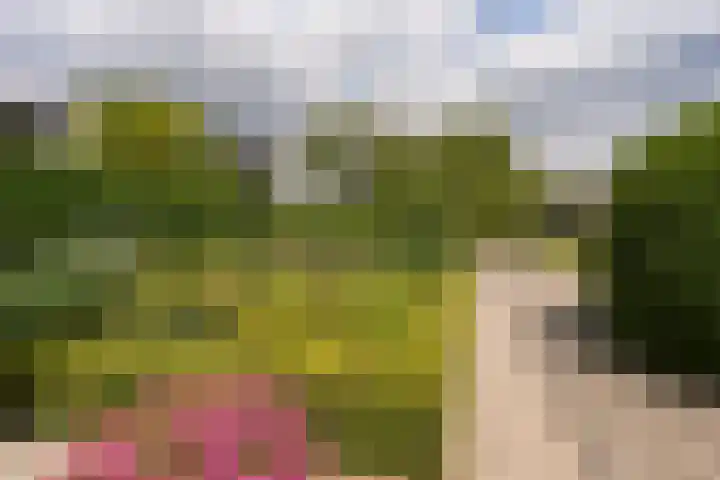 Nijmeegseweg 71 Gennep thumbnail 47