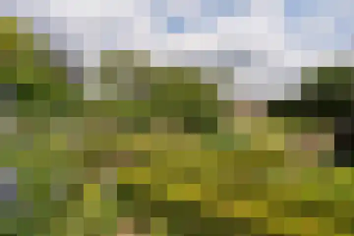 Nijmeegseweg 71 Gennep thumbnail 48