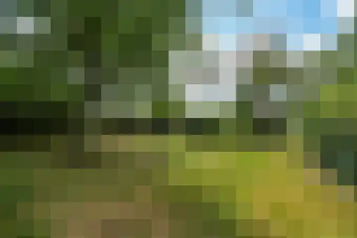Nijmeegseweg 71 Gennep thumbnail 51