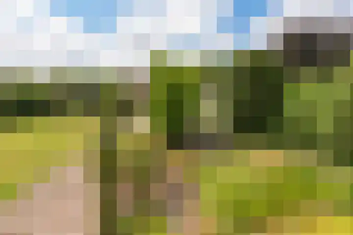 Nijmeegseweg 71 Gennep thumbnail 52