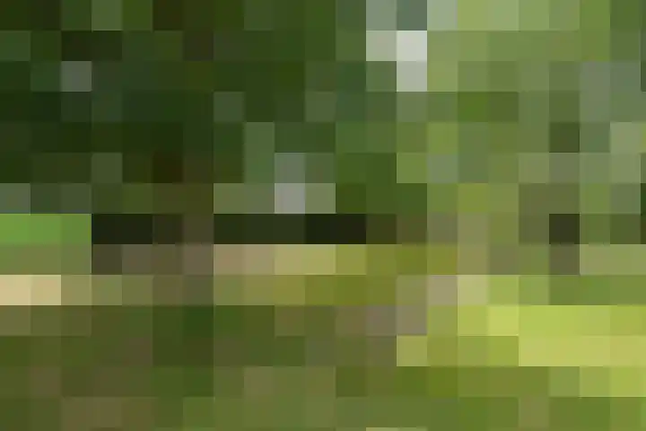 Nijmeegseweg 71 Gennep thumbnail 53