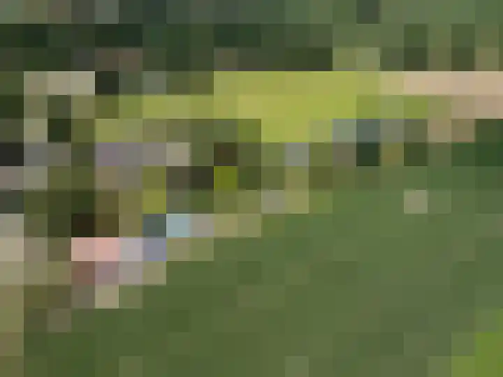 Nijmeegseweg 71 Gennep thumbnail 54