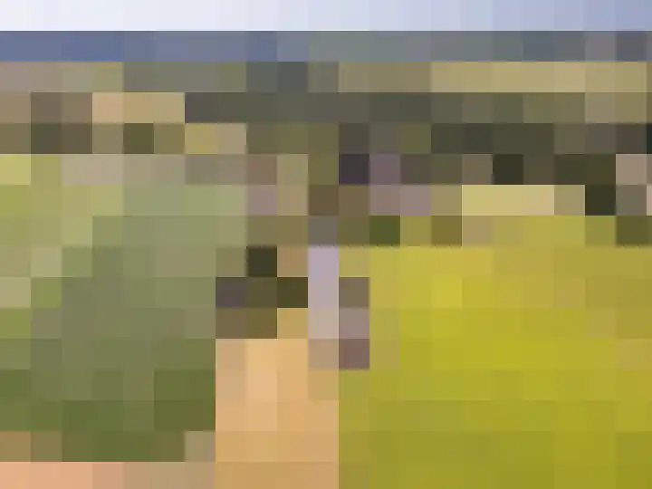 Nijmeegseweg 71 Gennep thumbnail 55