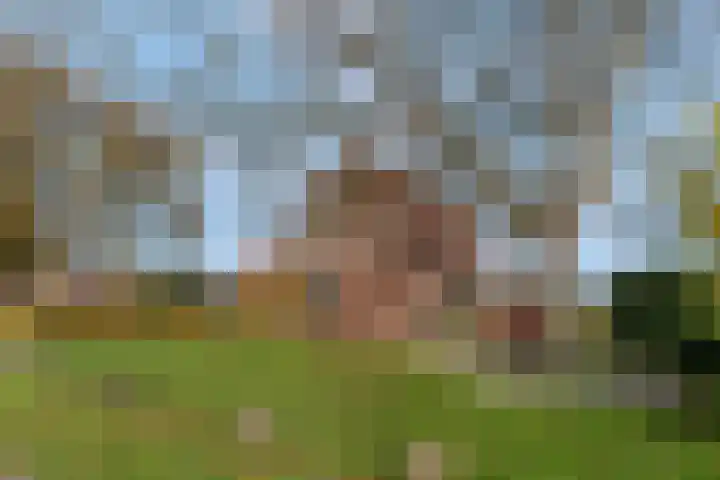 Nijmeegseweg 71 Gennep thumbnail 58