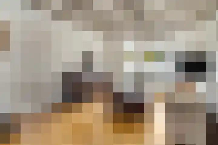 Nijmeegseweg 71 Gennep thumbnail 7