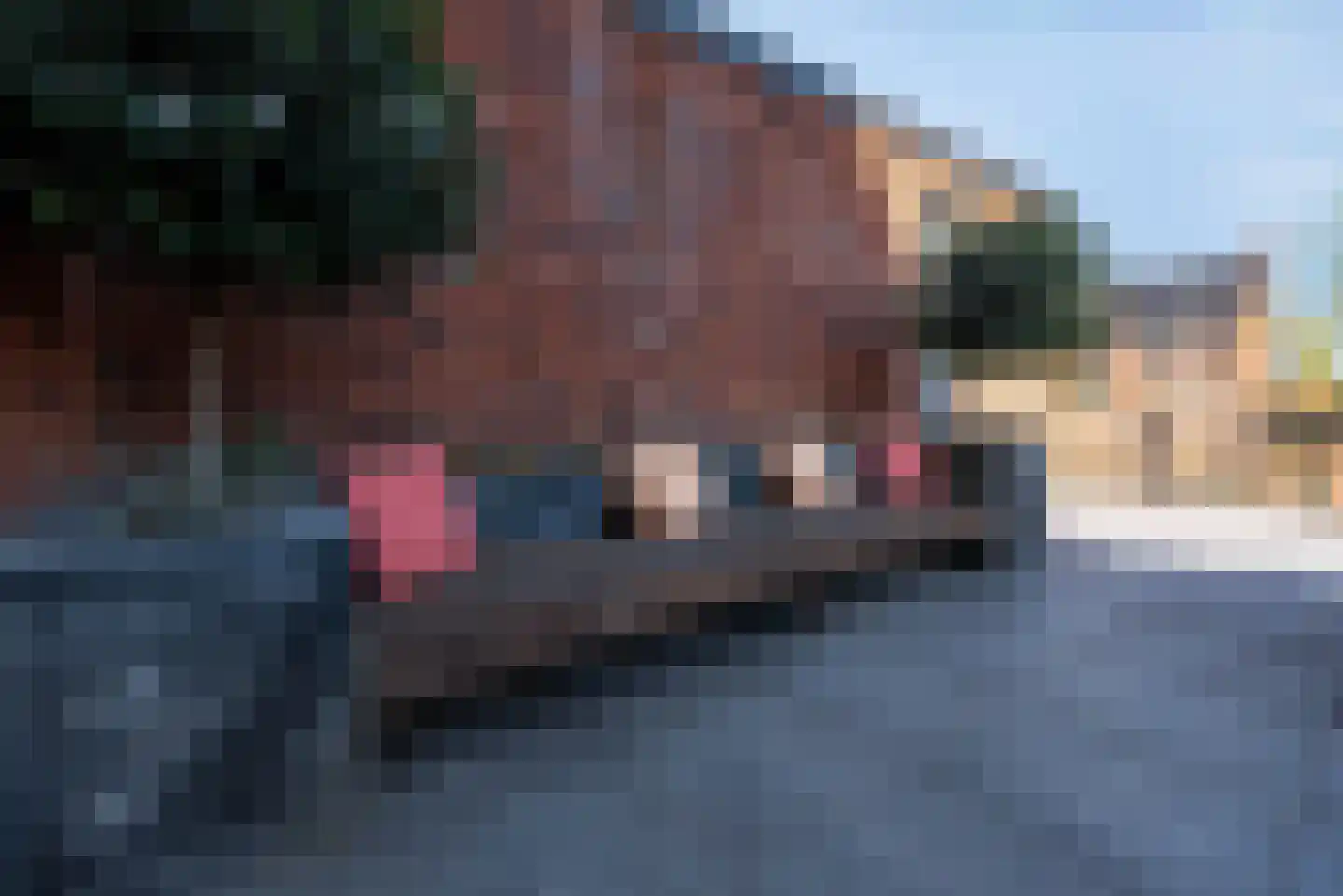 Nijmegenstraat 2 Amersfoort thumbnail 63