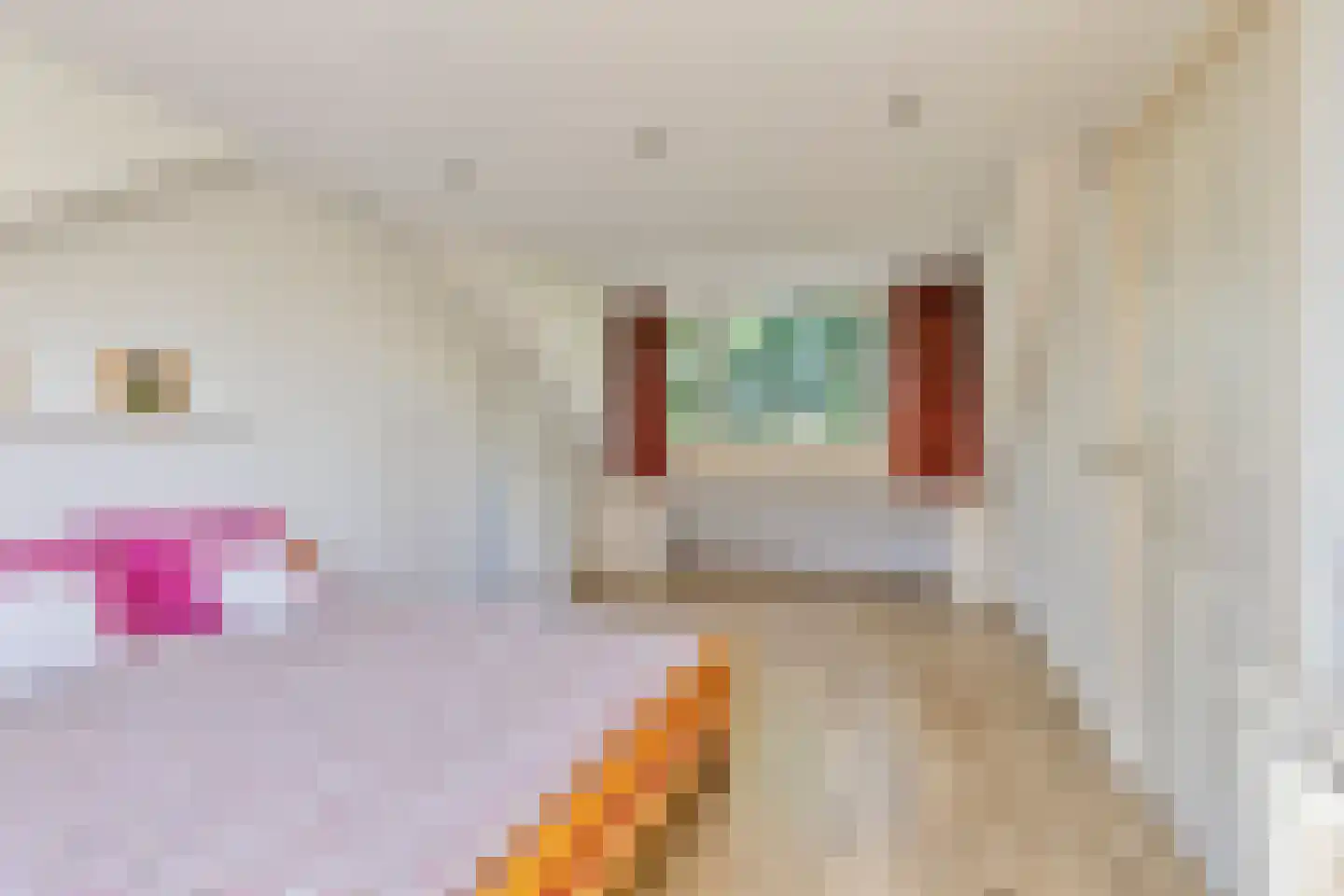 Nijnselseweg 2 Son en Breugel thumbnail 29