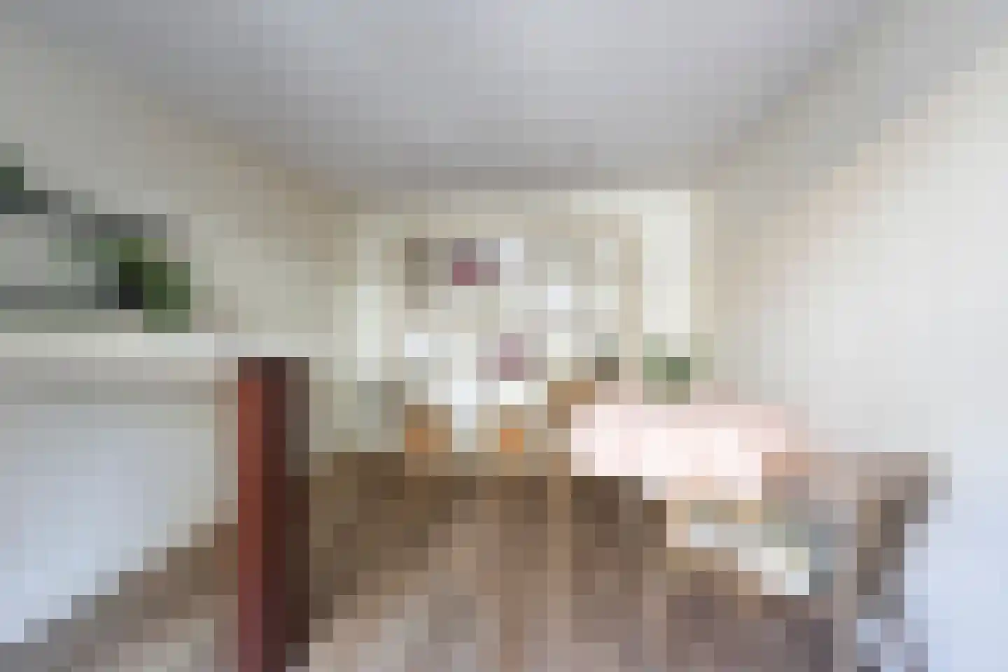 Nijnselseweg 2 Son en Breugel thumbnail 37